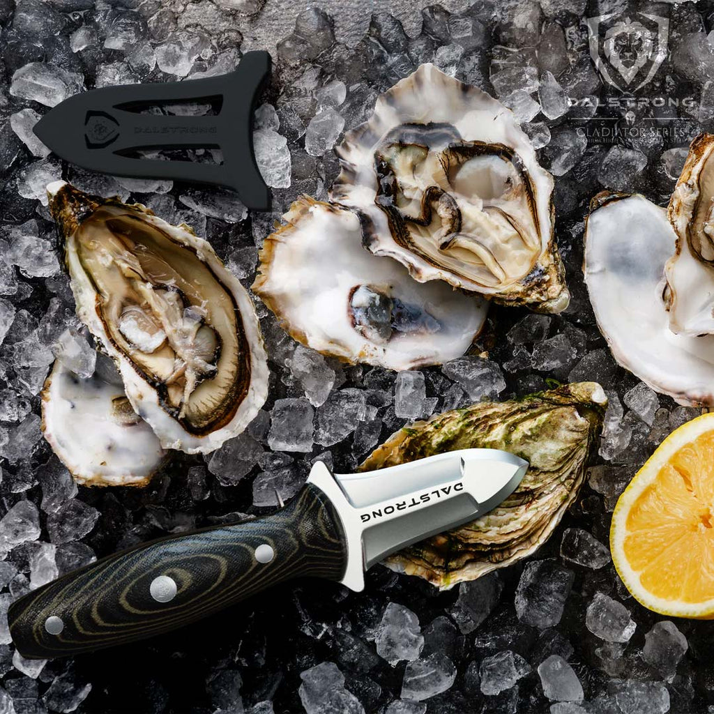 Professional Shellfish & Oyster Shucking Knife 3" | Gladiator Series | NSF Certified | Dalstrong with shucked oysters on ice.