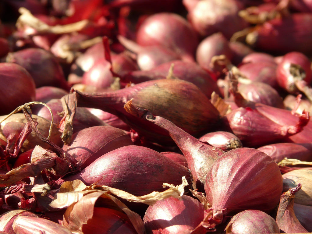 A close-up photo of red shallots