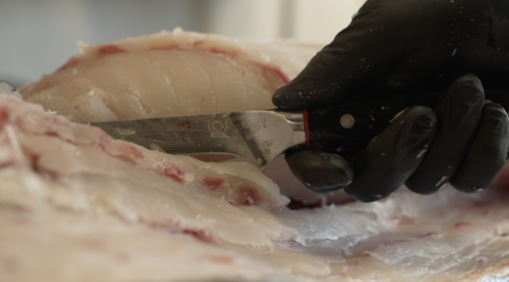 A man slicing fish meat using the Dalstrong Shogun Series ELITE Boning Knife 6"