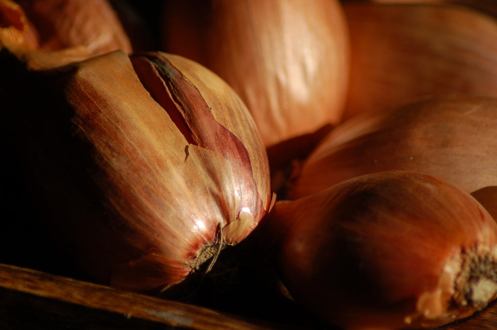 A close-up photo of red shallots