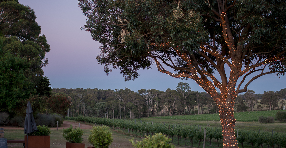 Weddings by Rustico at Hay Shed Hill