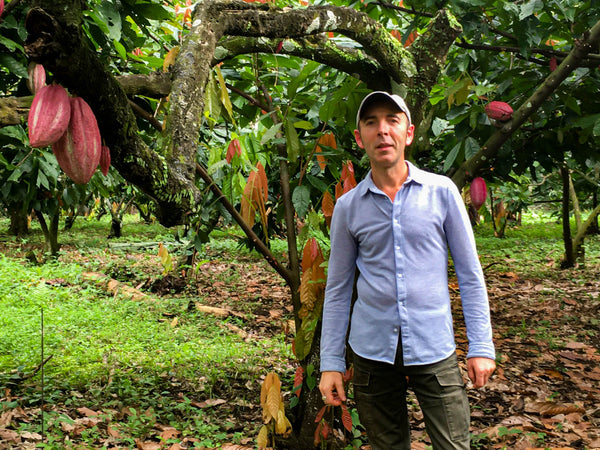 L'histoire du cacao  Klorane Botanical Foundation