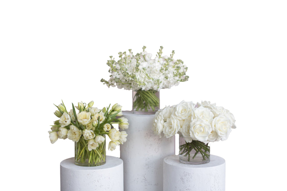 Paloma Bud Vase Set