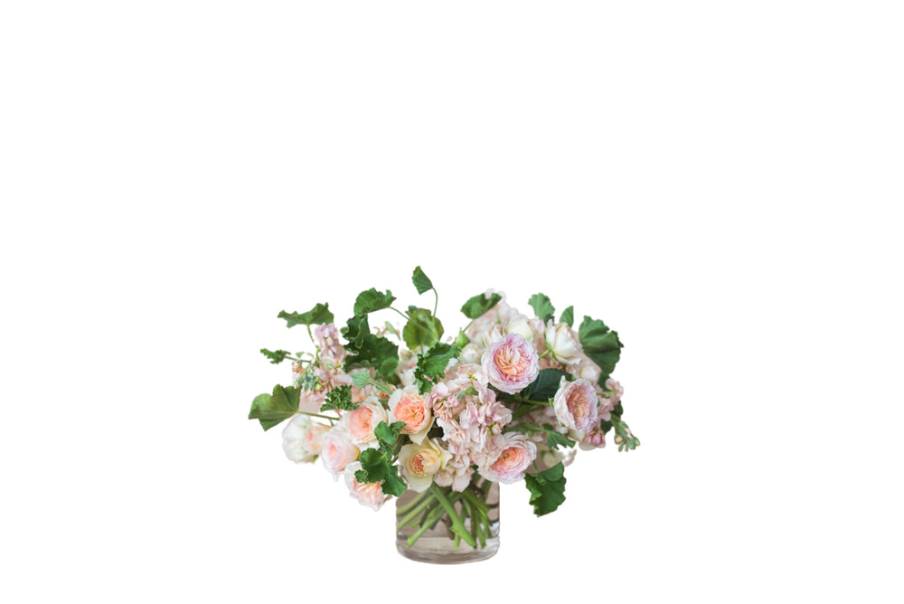 Paloma Bud Vase Set