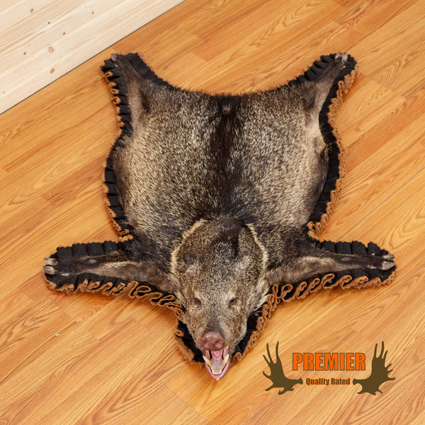 pictures of animal hides