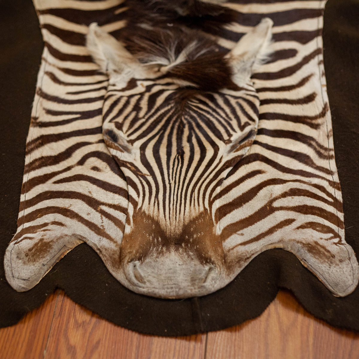 zebra rug real