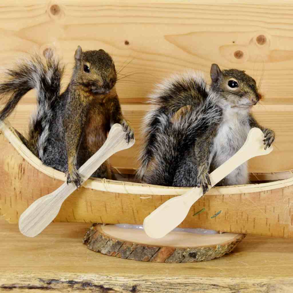 Squirrels In Canoe Taxidermy Display Sw6342 Safariworks Cabin