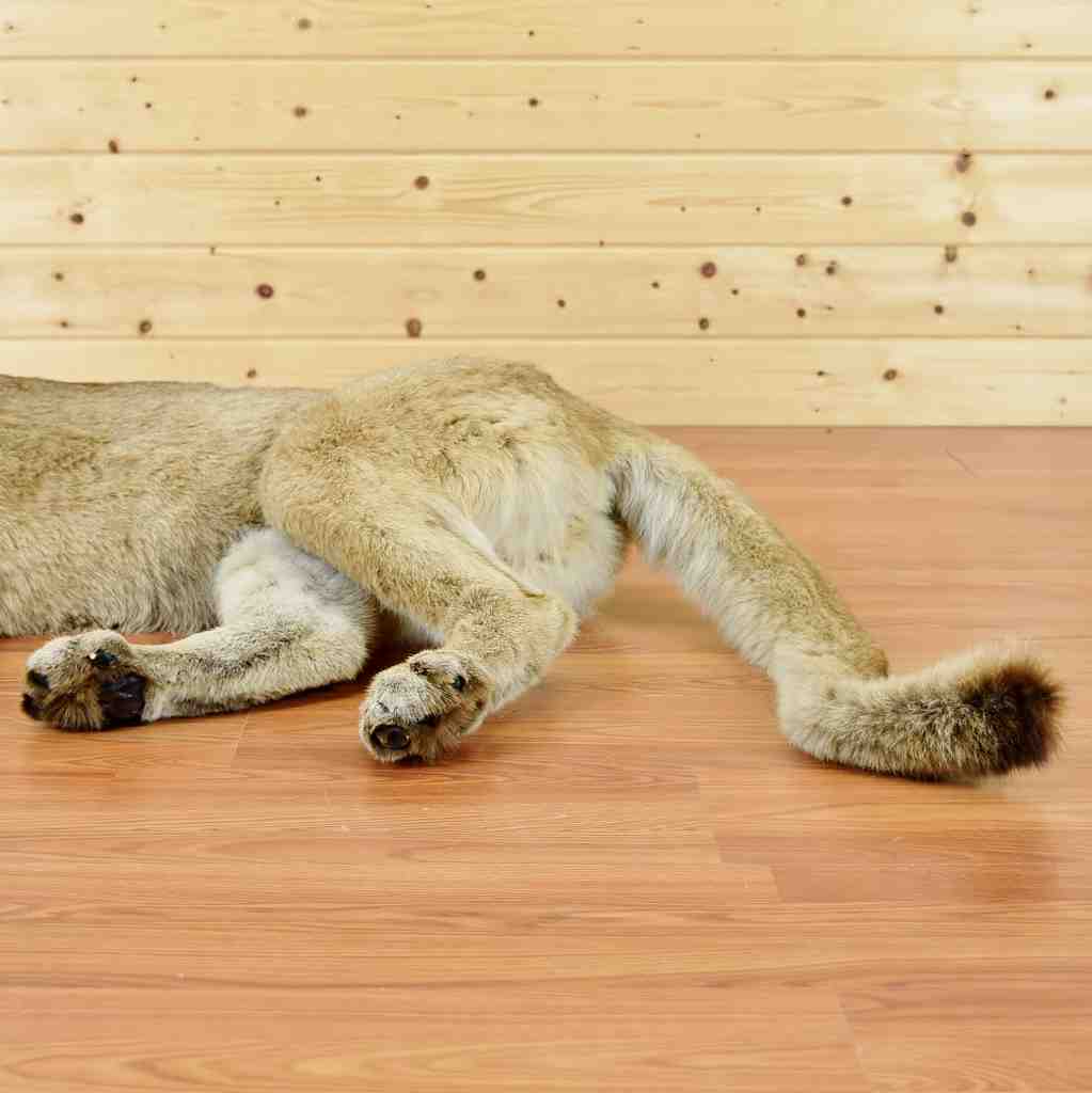 life size mountain lion stuffed animal