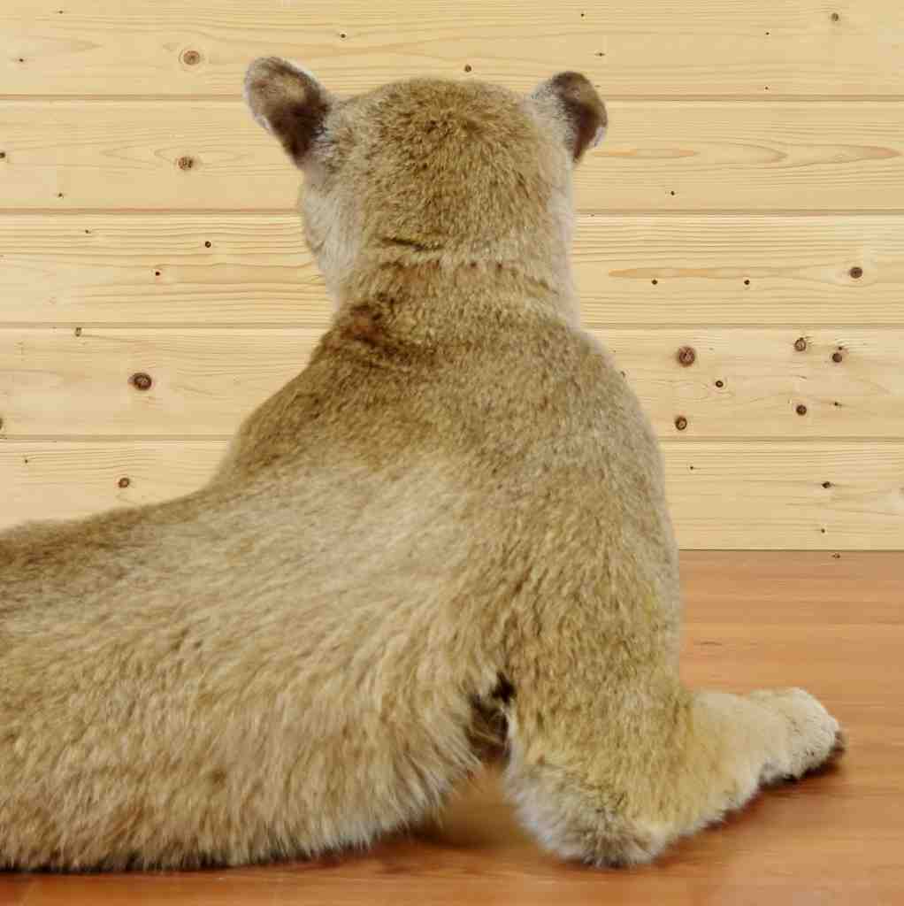 life size mountain lion stuffed animal