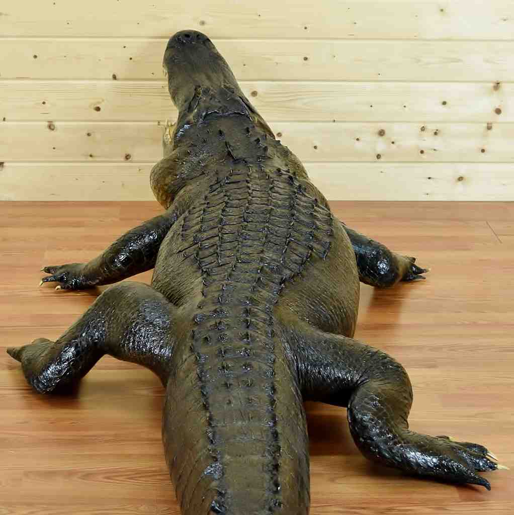 stuffed alligator for sale