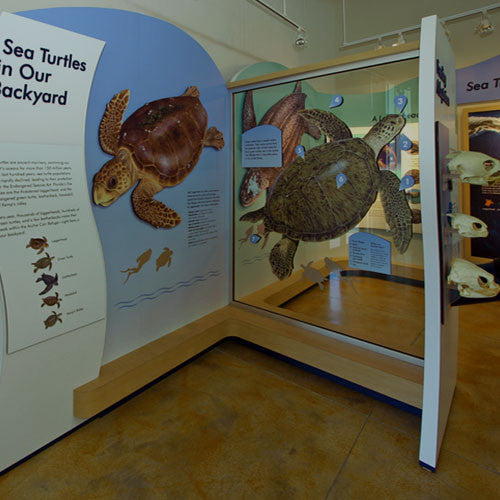 Andy Romano Beachfront Park, Seashell Identification Display – drawnbydawn