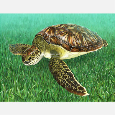 green turtle painting