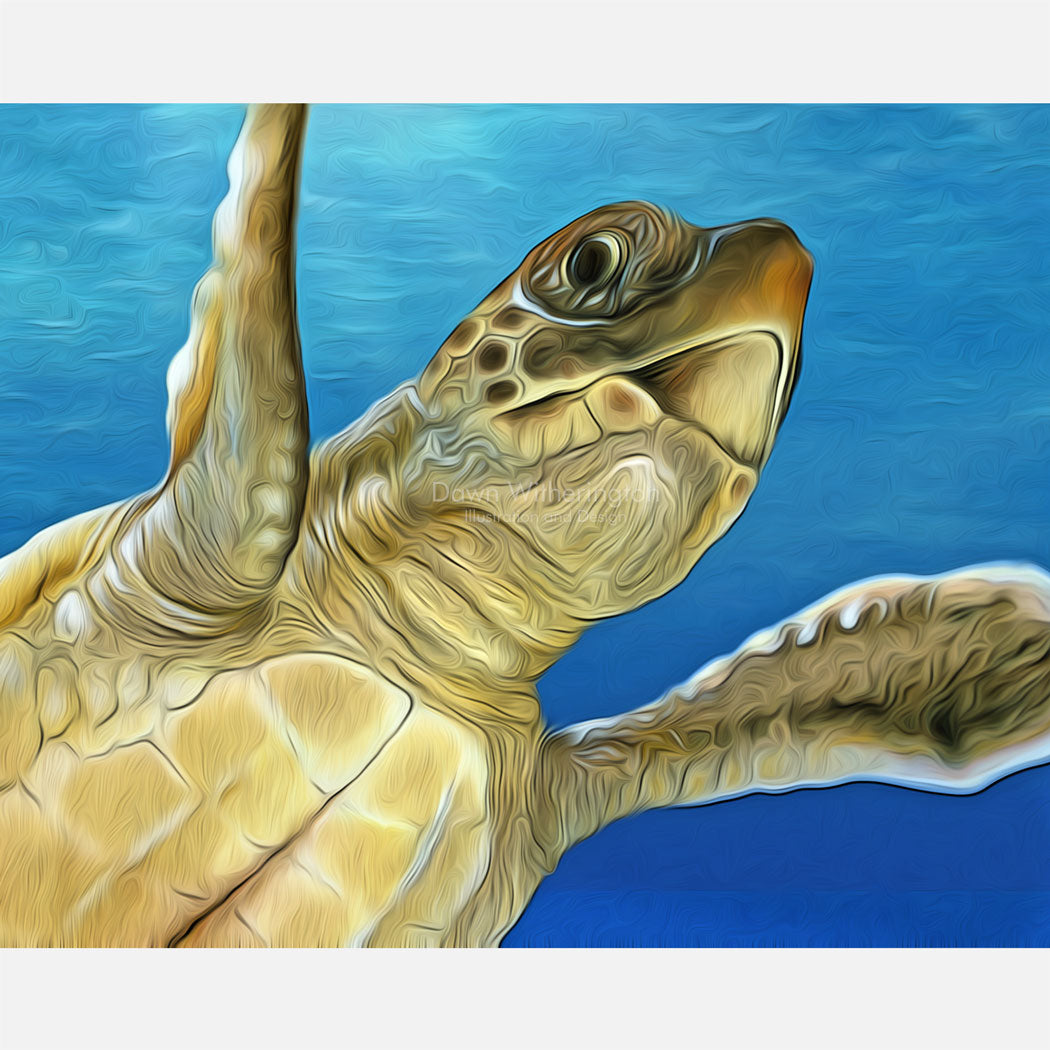 Stylized posthatchling loggerhead sea turtle