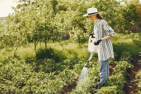 Woman Watering Green Plants