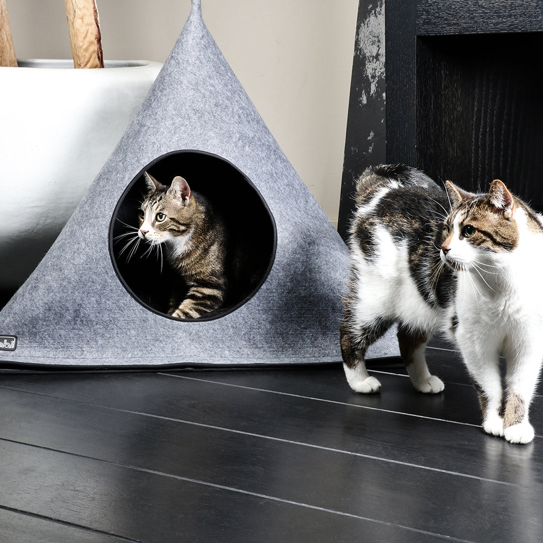 Doodskaak Sanctie kolonie Hoogwaardig vilten kattenhuis voor grote katten – designforpets