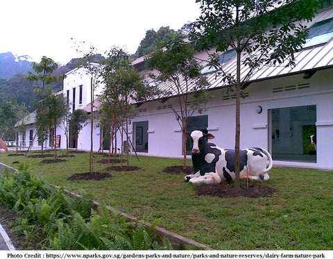 Dairy Farm Nature Park