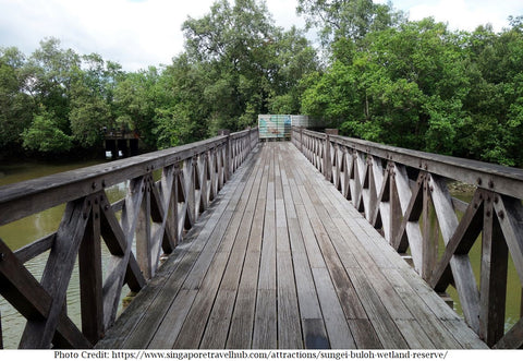 Sungei Buloh Wetland Reserve