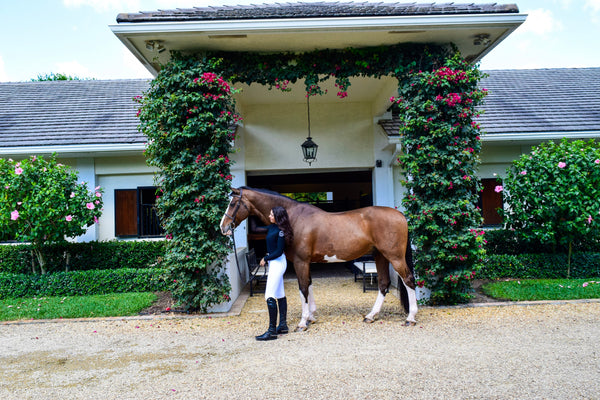 Wellesley Equestrian