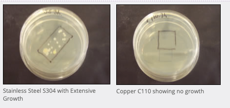 Bakterier på kobber vs rustfrittstål