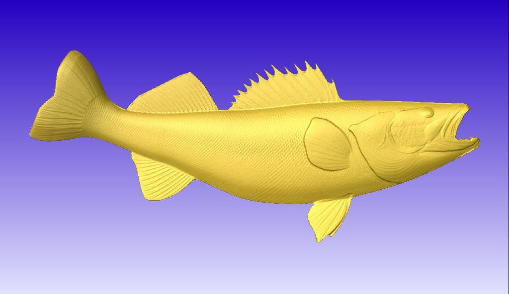 Download Walleye Vector Relief Model - CNCVectorArt