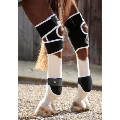 equine magnetic boots