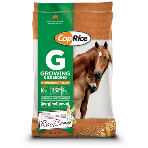 CopRice G Growing & Breeding Pellets 20kg-feed-Southern Sport Horses