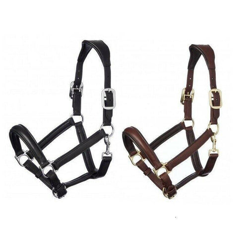 LeMieux Anatomic Leather Headcollar-Headcollar-Southern Sport Horses