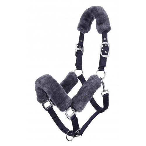 LeMieux Comfort Head Collar-Halter-Southern Sport Horses