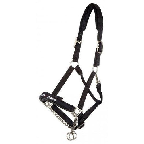 stallion halter and headcollar