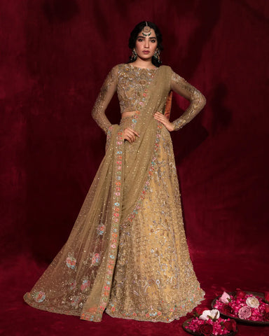 Indian Wedding Dresses