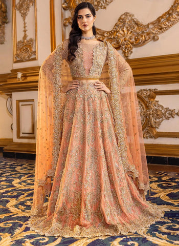 Pakistani Bridal Dresses