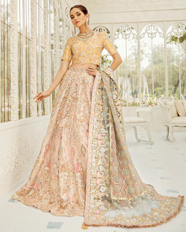 Indian Wedding Dresses