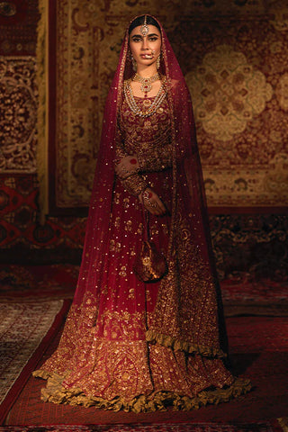 Indian Wedding Dresses