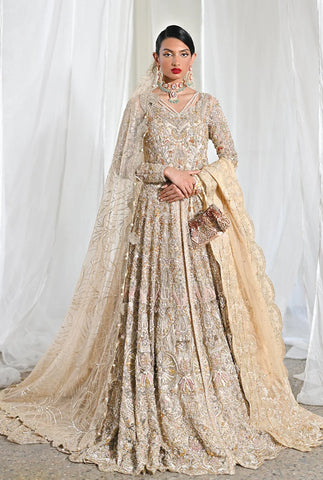 Pakistani Bridal Dresses