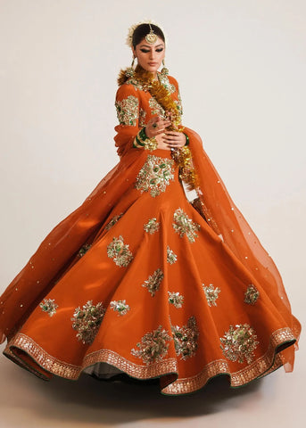 Indian Wedding Dresses