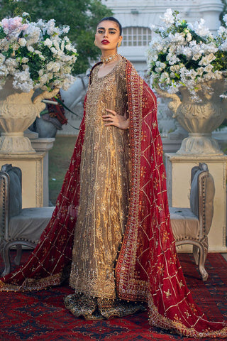 Pakistani Bridal Dresses