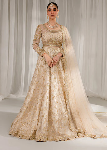 Pakistani Bridal Dresses