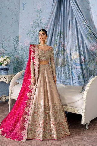 Indian Wedding Dresses