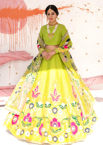 Indian Wedding Dresses