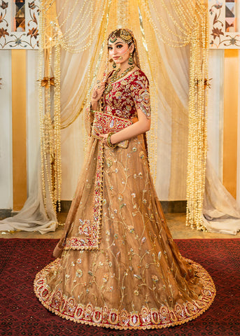 Pakistani Bridal Dresses