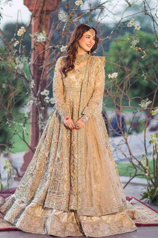 Pakistani Bridal Dresses