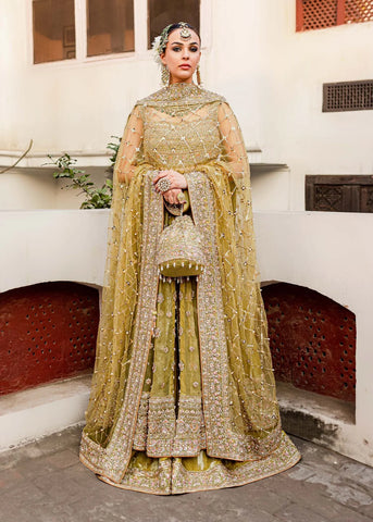 Indian Wedding Dresses