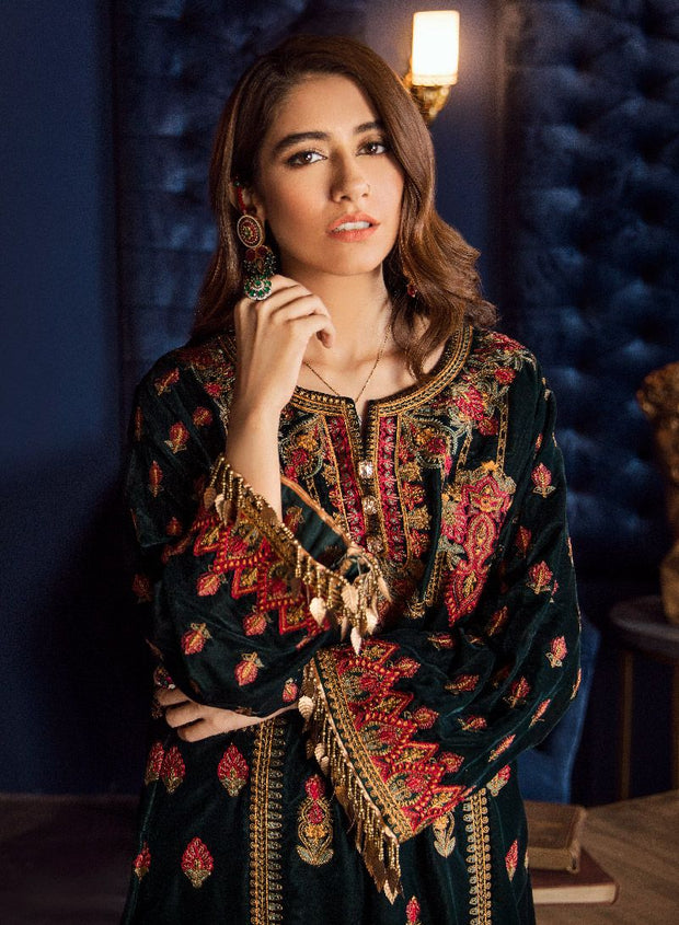 Asian Embroidered Velvet Outfit with Beautiful Work – Nameera by Farooq