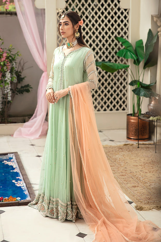 Elegant Mint Green Pakistani Dress For Wedding In Organza Netn Nameera By Farooq 8648