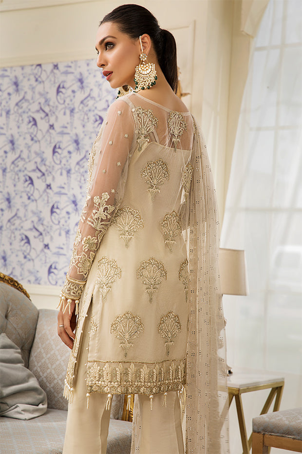 Pakistani Net Embroidered Dress With Motifs In Skin Color Nameera By