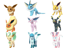 All Eevee Eeveelutions Set Shiny 6IV EVs Pokemon Brilliant Diamond