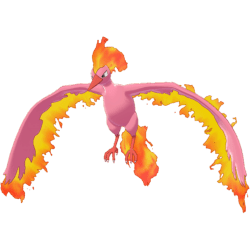 Pokemon Let's Go Shiny Moltres 6IV-AV Trained – Pokemon4Ever