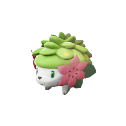 ✨ SHINY ✨ SKY SHAYMIN 6IV MAX EVS✨ Pokemon Scarlet & Violet