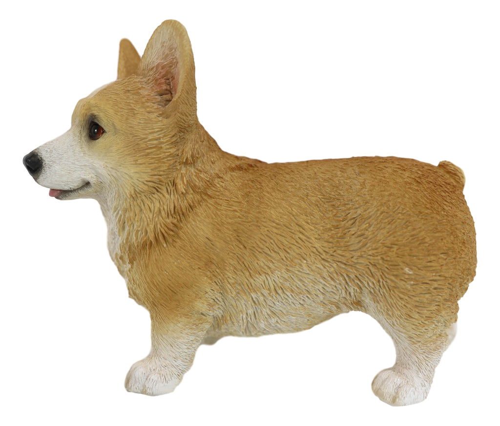 Lifelike Realistic Pembroke Welsh Corgi Puppy Dog Figurine With Glass Ebros Gift
