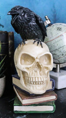 Raven Crow Perching On Skull With Ancient Spell Books Of Prophecy Figurine